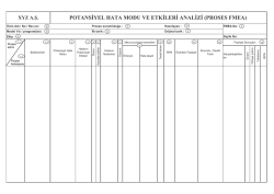 pfmea formu