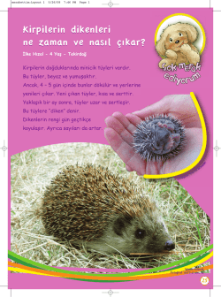 Fot raf ss Hande Kaynak Fotoğraf: an73 at sxc.hu