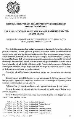 Tam Metin (PDF)
