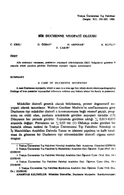 Bu PDF dosyasını indir