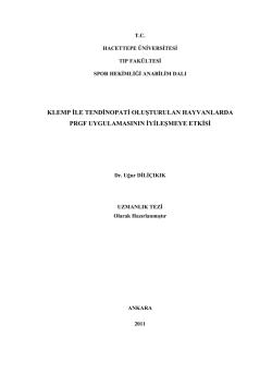 4.1.2.Klemp ile tendinopati oluşturulan hayvanlarda PRGF