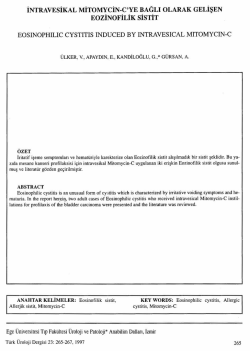 Tam Metin (PDF)