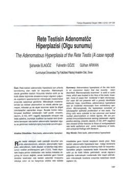 Rete Testisin Adenomat&ouml;z Hiperplazisi (Olgu Sunumu)