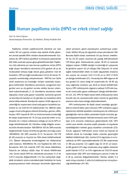 Human papilloma vir&uuml;s (Hpv) ve erkek cinsel sağlığı