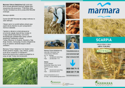 Marmara Tohum Geliştirme A.Ş. tarafından 2010 yılında getirilerek,&uuml;