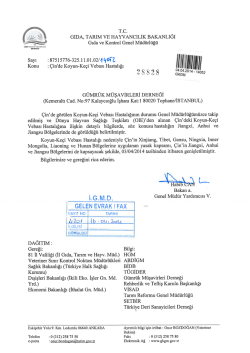 2 s s 2 s Gi&acirc;&icirc;fw- &ldquo;052 - İstanbul G&uuml;mr&uuml;k M&uuml;şavirleri Derneği