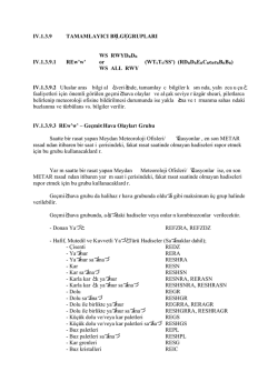 IV.1.3.9 TAMAMLAYICI BİLGİ GRUPLARI WS