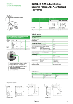 RCCB ID 125A Boyut - Schneider Electric