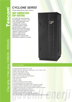 CYCLONE Serisi CL300 (100