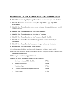 FLEXIBLE FİBER URETERO