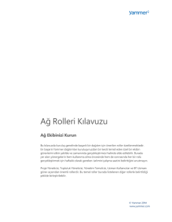Ağ Rolleri Kılavuzu