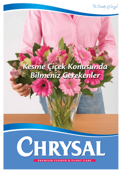 Kesme &Ccedil;i&ccedil;ek Konusunda Bilmeniz Gerekenler Kesme &Ccedil;i&ccedil;ek