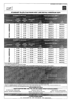 16 Baydoor Standart &Ouml;l&ccedil;&uuml;l&uuml; D&uuml;z Lake Boyalı Amerikan 2ci Kapı