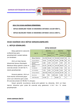 2014 Ocak-Haziran B&uuml;t&ccedil;e Ger&ccedil;ekleşme Raporu