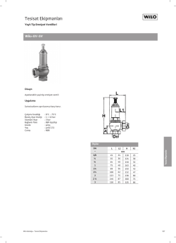EV-SV Serisi Yaylı Emniyet Ventilleri