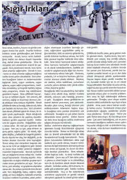 Stres rahatı, konforu, huzuru ve g&uuml;nl&uuml;k rutin yaşamı bozan