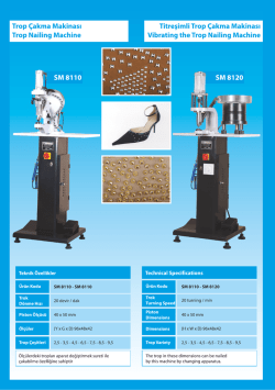 Titreşimli Trop &Ccedil;akma Makinası Vibrating the