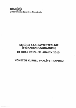 31.12.2013 Y&ouml;netim Kurulu Faaliyet Raporu
