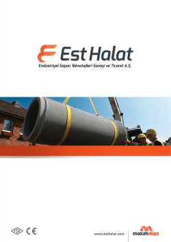 End&uuml;striyel Sapan Teknolojileri Sanayi ve Ticaret A.Ş.