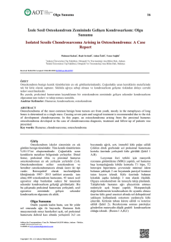Bu PDF dosyasını indir