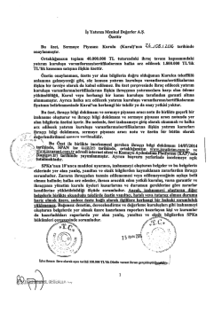 Sermaye Piyasası Aracı Notu Özet - Pay Varantları