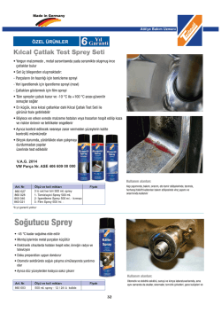 Kılcal &Ccedil;atlak Test Sprey Seti