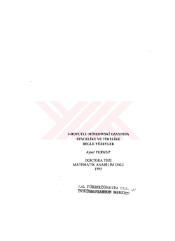 3-BoYUTLU MİNKowsKİ UzAYıNDA