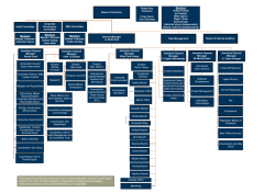 Board of Directors Risk Management Board of