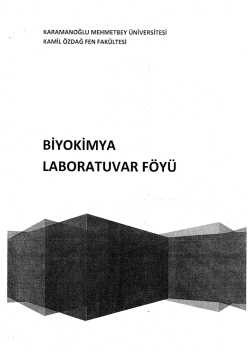 &Ouml;rnek Dosyayı İndir