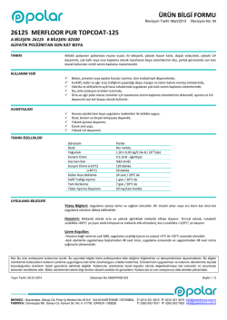 26125-MERFLOOR PUR TOPCOAT-125-TR