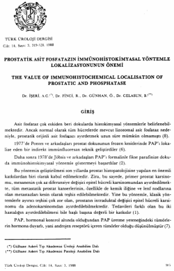 Tam Metin (PDF)