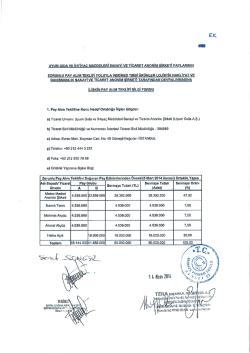 Pay Alım Teklifi Bilgi Formu(SPK Onaylı )