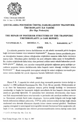 Tam Metin (PDF)