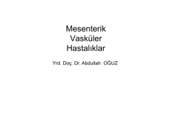 Mesenterik Vask&uuml;ler Hastalıklar