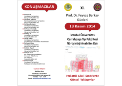 Feyyaz Berkay G&uuml;nleri XI.cdr