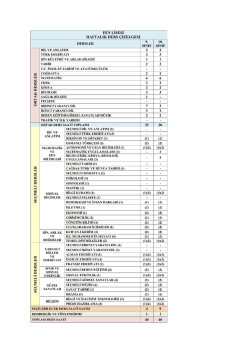 fen lisesi _ haftalık ders &ccedil;izelgesi