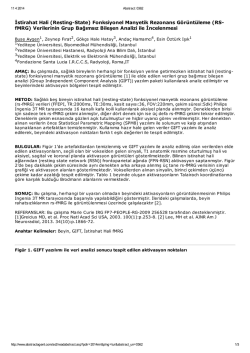 İstirahat Hali (Resting-State) Fonksiyonel Manyetik