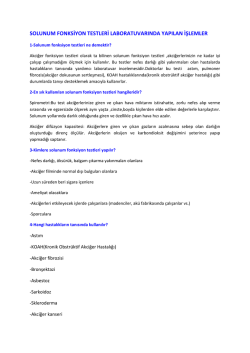 solunum fonksiyon testleri laboratuvarında yapılan işlemler