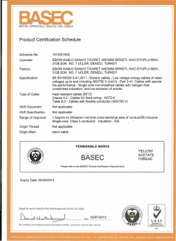 Page 1 BRITISH APPROVALS SERVICE FOR CABLES Product