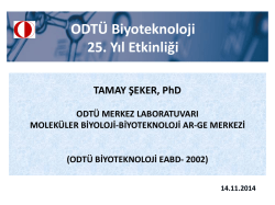 Dr. Tamay Şeker