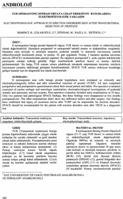 Tam Metin (PDF)