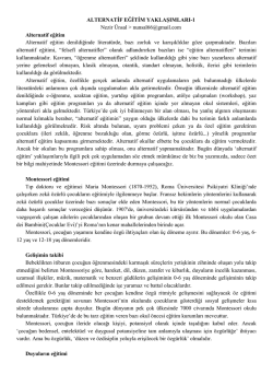 alternatif &ouml;ğretim yaklaşımlarına iki &ouml;rnek