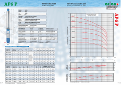 AP6 P - arianpumps.com