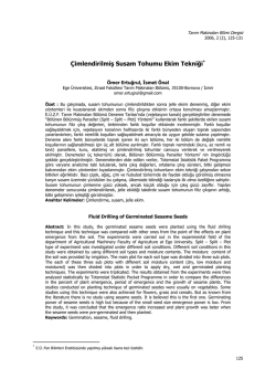 Bu PDF dosyasını indir