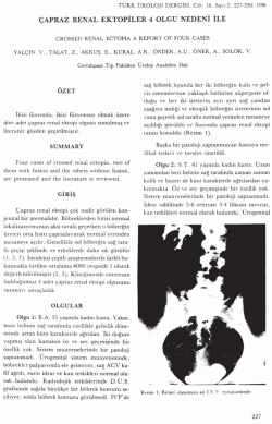 Tam Metin (PDF)