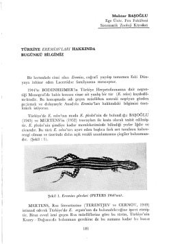 Muhtar BAŞOĞLU Ege &Uuml;niv. Fen Fak&uuml;ltesi