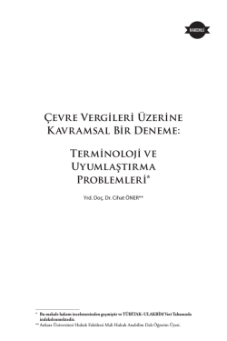 &Ccedil;evre Vergileri &Uuml;zerine Kavramsal Bir Deneme