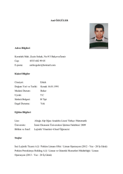 Anıl Özgüler - İzmir Ekonomi Üniversitesi
