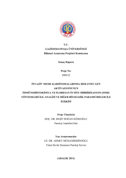 T.C. GAZİOSMANPAŞA &Uuml;NİVERSİTESİ Bilimsel Araştırma Projeleri