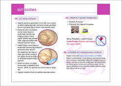 Anne S&uuml;t&uuml; Broş&uuml;r